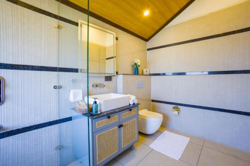 a bathroom with a shower and a sink and a toilet at Luxury 4BHK with Garden Pool and Entertainment Space in Palāhu