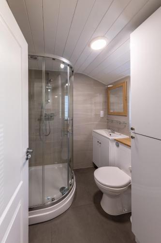 a bathroom with a shower and a toilet and a sink at Le Douit Farm Self Catering in St. Martin Guernsey