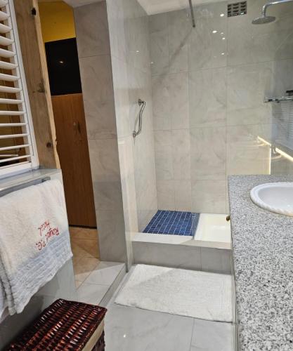 a bathroom with a shower and a sink at RPG Corporate Unit in Johannesburg