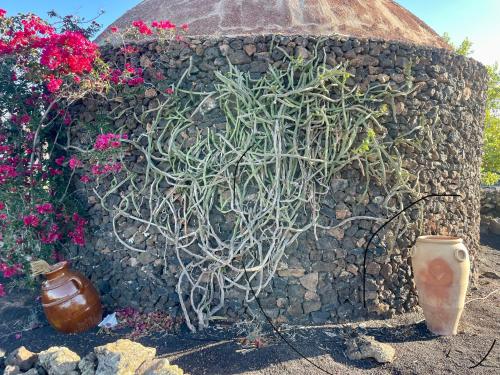 a stone wall with a bunch of plants on it at Finca Malvasia Rural Estate & Vineyard in Tías