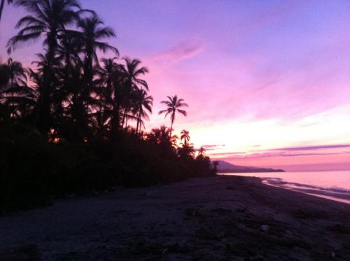 a group of palm trees on a beach at sunset at Playa Pikua Ecolodge in Guachaca