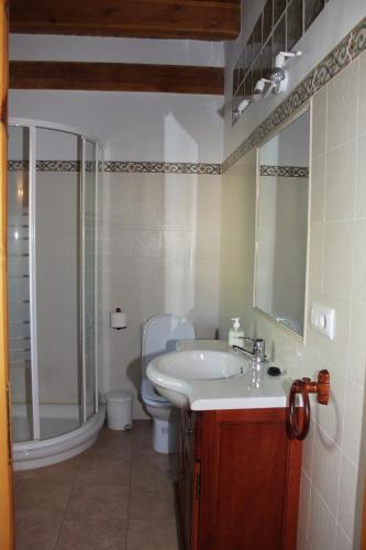a bathroom with a sink and a toilet and a mirror at Casa Rural El Alfar in Tajueco