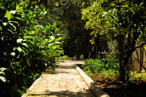 a brick path through a garden with trees at Kerem Apart Hotel in Göcek