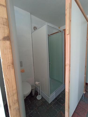 une salle de bain avec une douche en verre et des toilettes dans l'établissement Gite d'étape, à Osmanville