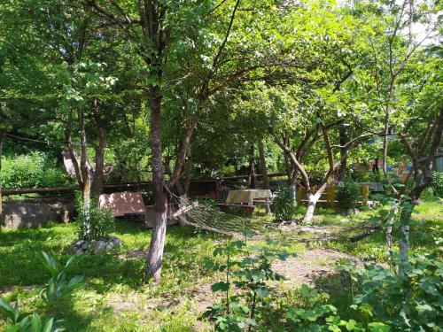 Un jardín fuera de Rossi Rest House