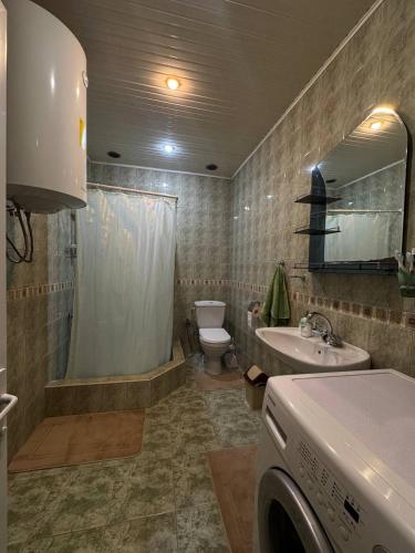a bathroom with a toilet and a sink and a washing machine at Gayane & Khikar B&B in Chʼiva
