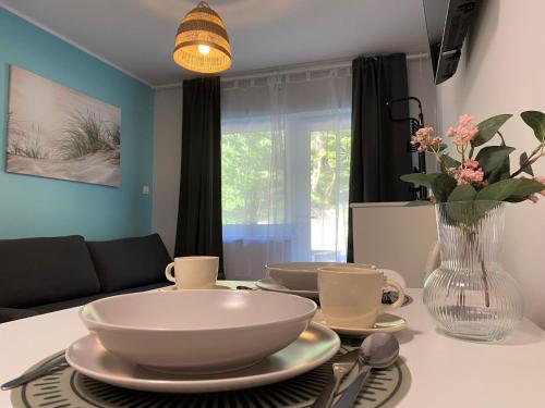 Róża Wiatrów Leśny Klif 2