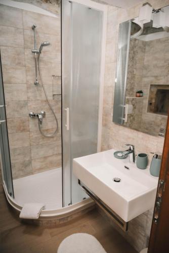 a bathroom with a shower and a white sink at Rural Apartments Ritossa in Vižinada
