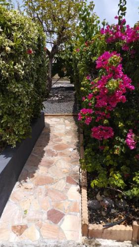 En hage utenfor Villa MangoKera