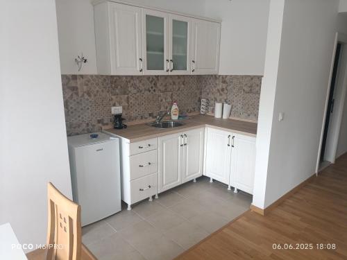 Η κουζίνα ή μικρή κουζίνα στο Skopje City Apartment 5