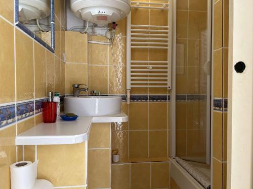 une salle de bain avec un lavabo et une douche dans l'établissement SP520-C154 Appartement 2 pièces 4 couchages SAINT PIERRE LA MER, à Saint Pierre La Mer