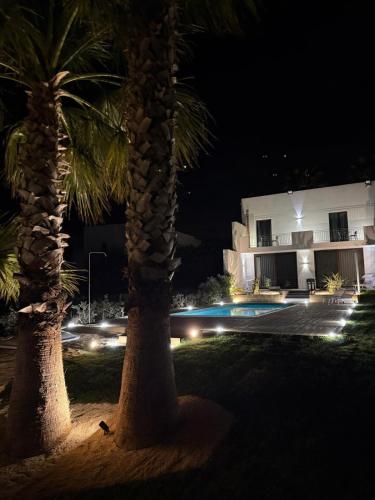 two palm trees in front of a building at night at Casa B, Room 6 - mit Pool - at Lagoon - Lo Stagnone Kite Spot - Palm Kite Paradise in Marsala