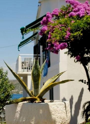 3 bedroom Apartment on the sea with garden