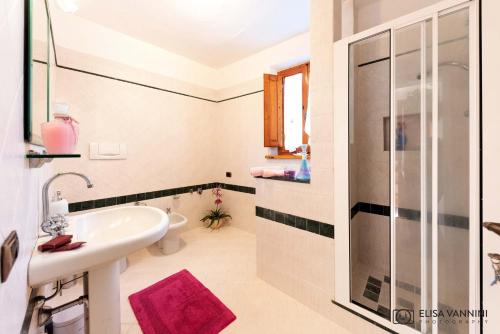 a bathroom with a sink and a shower at Il Glicine in Palaia