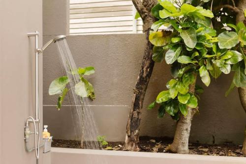 a shower in a bathroom next to a tree at Beachfront Oakura - steps from stunning beach in Oakura