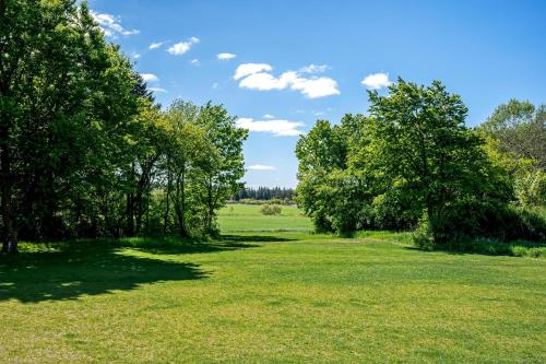 a row of trees in a grassy field at Lovely Holiday Home, Completely Renovated In 2025, In Quiet And Beautiful Surroundings in Sønder Felding