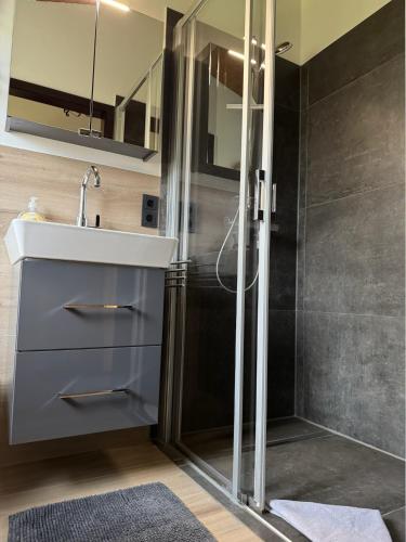 a bathroom with a sink and a shower at Sauerländer Henne-Lütt in Meschede