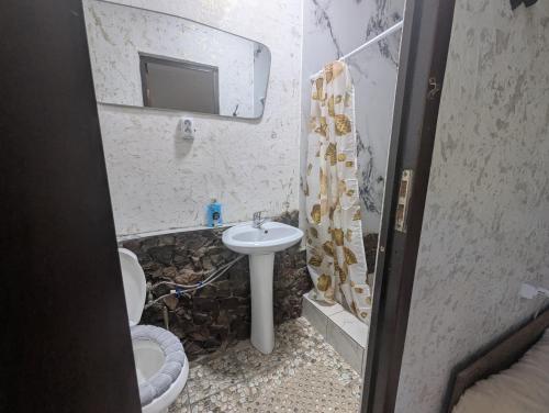 a bathroom with a sink and a toilet and a mirror at Petrovskaya Pristan in Cholpon-Ata