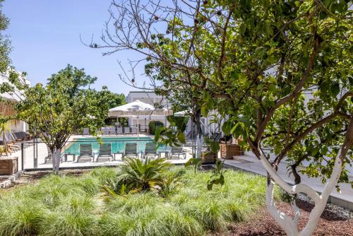 a pool in a yard with chairs and trees at Costa Maya Bodrum in Bodrum City