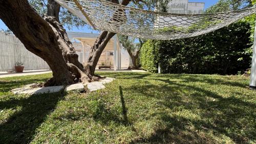 La Cummersa Trulli Holiday photo 3