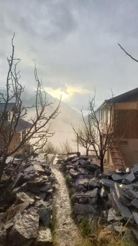 a stone path in front of a building with trees at Baserah Stay & Cafe in Mandi