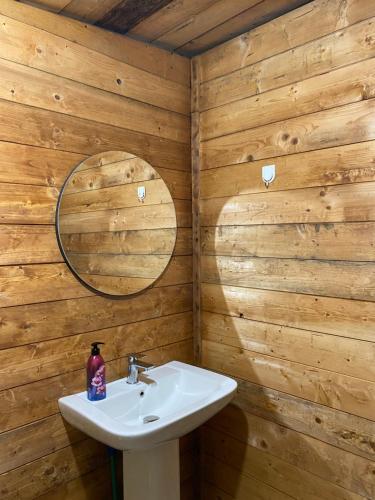 a bathroom with a sink and a mirror at Captain's House in Mollʼ e Shoshit