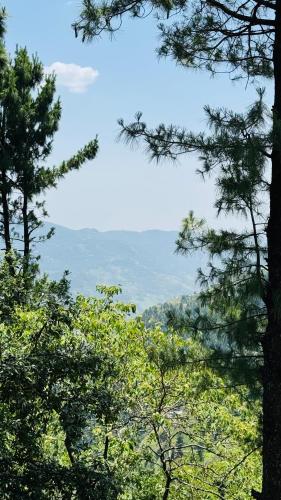 a view of the mountains through the trees at Faimly cottages in Nathia Gali
