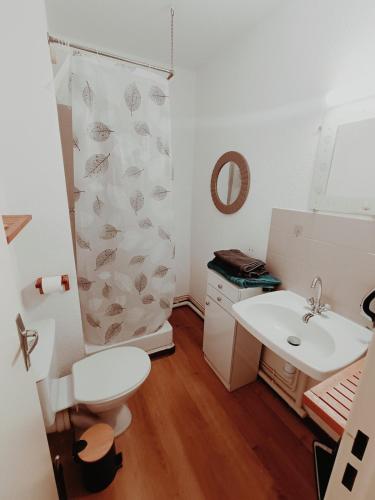 une salle de bain avec toilettes et lavabo dans l'établissement Studio avec piscine partagée Presqu'île de Saint-Mandrier-sur-Mer, à Saint-Mandrier-sur-Mer