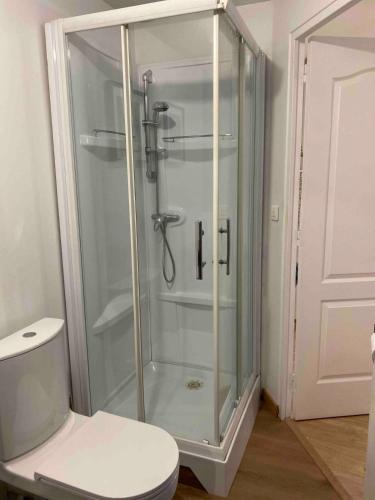 une douche dans une salle de bain avec toilettes dans l'établissement Duplex en plein coeur de Dieppe, à Dieppe