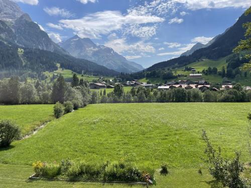 eine grüne Wiese mit Bergen im Hintergrund in der Unterkunft Apartment Sonnegg by Interhome in Gsteig