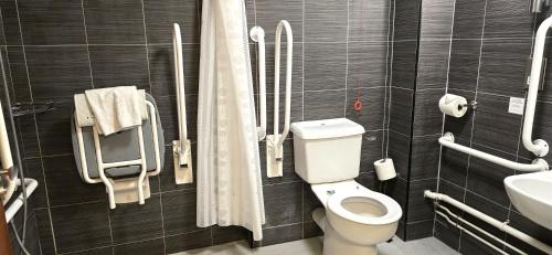 a bathroom with a toilet and a sink at Shendish Manor Hotel & Golf Course in Hemel Hempstead