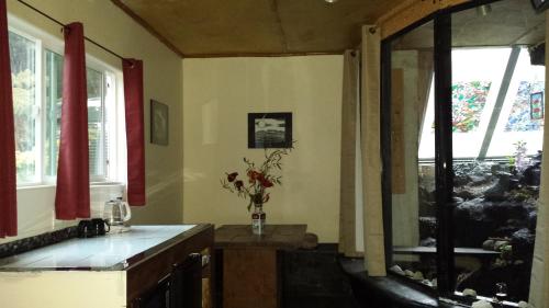a kitchen with windows and a counter with flowers in a vase at Aloha Crater Lodge in Volcano