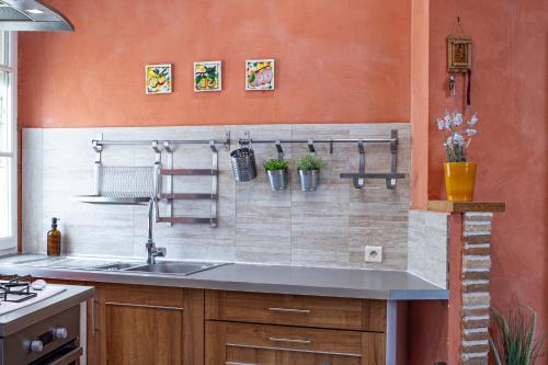 une cuisine avec évier et quelques plantes sur le mur dans l'établissement Grand appartement dans la vieille ville, à Menton