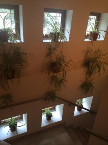 Foto dalla galleria di Hotel Fiama a Oţelu Roşu