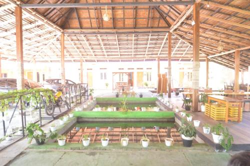 a group of green benches in a building with plants at Homestay & Resto 88 in Dondo