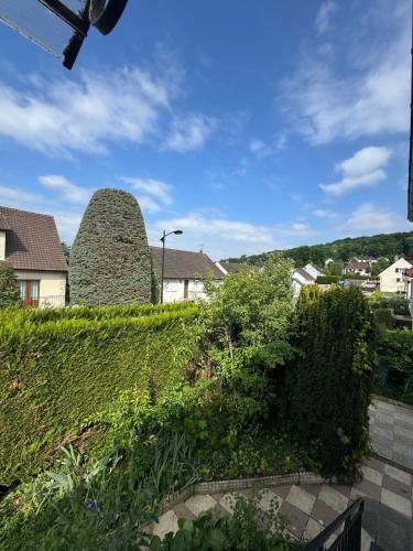 une vue d'un jardin avec quelques buissons et bâtiments dans l'établissement La maison de Lili - Maison climatisée, à Mercin-et-Vaux