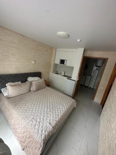 a bedroom with a large bed and a kitchen at Palanga 777 - poilsio namai prie Birutės parko ir jūros in Palanga