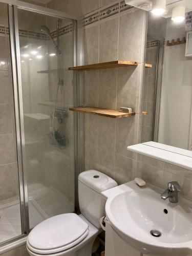 une salle de bain avec toilettes, douche et lavabo dans l'établissement Joli appartement dans le centre de Paris, à Paris