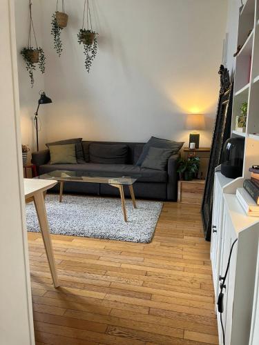 un salon avec un canapé et une table dans l'établissement Joli appartement dans le centre de Paris, à Paris