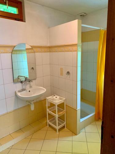 a bathroom with a sink and a shower at Kwatery Prywatne U Bachledów in Zakopane