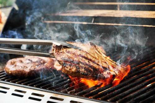 Barbacoa disponible para clientes en el hotel