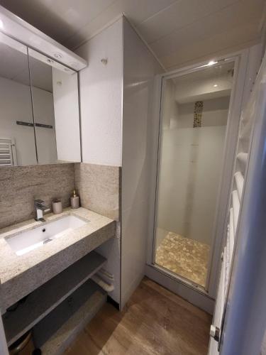 une salle de bain avec un lavabo et une douche dans l'établissement Appartement T2 col de Merdassier au pied des pistes, à Manigod