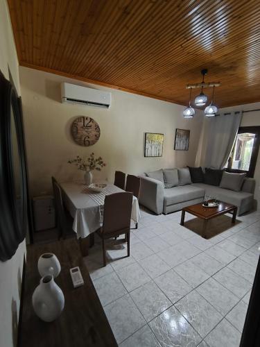 Χώρος καθιστικού στο Sotiritsa's luxury home