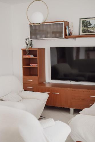 Televisyen dan/atau pusat hiburan di Holiday house - Anima