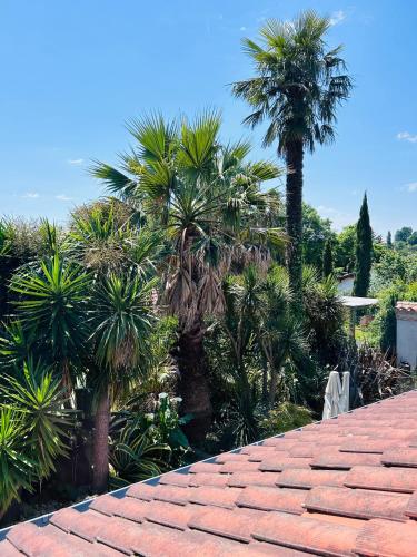 Κήπος έξω από το La Bastide de Guiche Entre Océan et montagnes