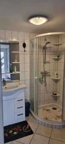 une salle de bain avec douche et lavabo dans l'établissement Appartement charmant près du lac à Saint-Point-Lac, à Saint-Point-Lac