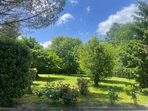 Κήπος έξω από το Villa entre bordeaux et saint emilion