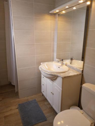 une salle de bain avec un lavabo, des toilettes et un miroir dans l'établissement Gîtes de la Mouette Le Tourteau 5-6 pers, à Ravenoville