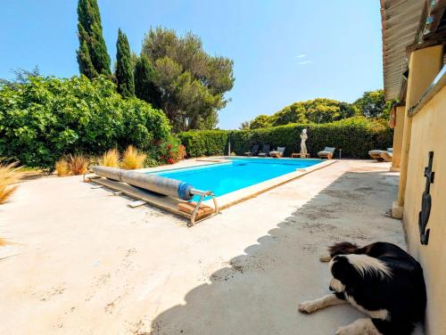 Le Gîte d'Entressen studio Piscine Jeux & Pétanque Istres Miramas