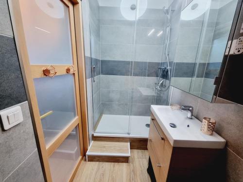 La petite salle de bains est pourvue d'une douche et d'un lavabo. dans l'établissement 1 clémence fouriaux proche gare et climatisé, à Reims